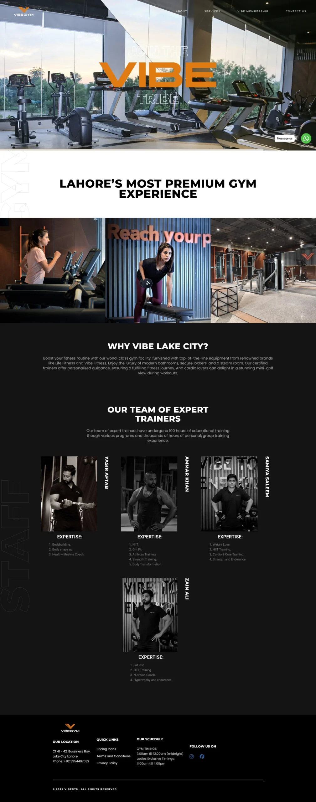Website Preview